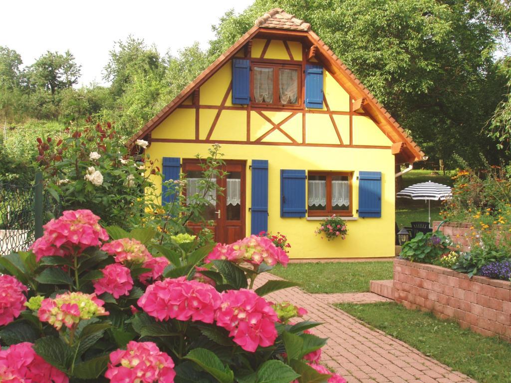Gite en Alsace Mutzig Buitenkant foto