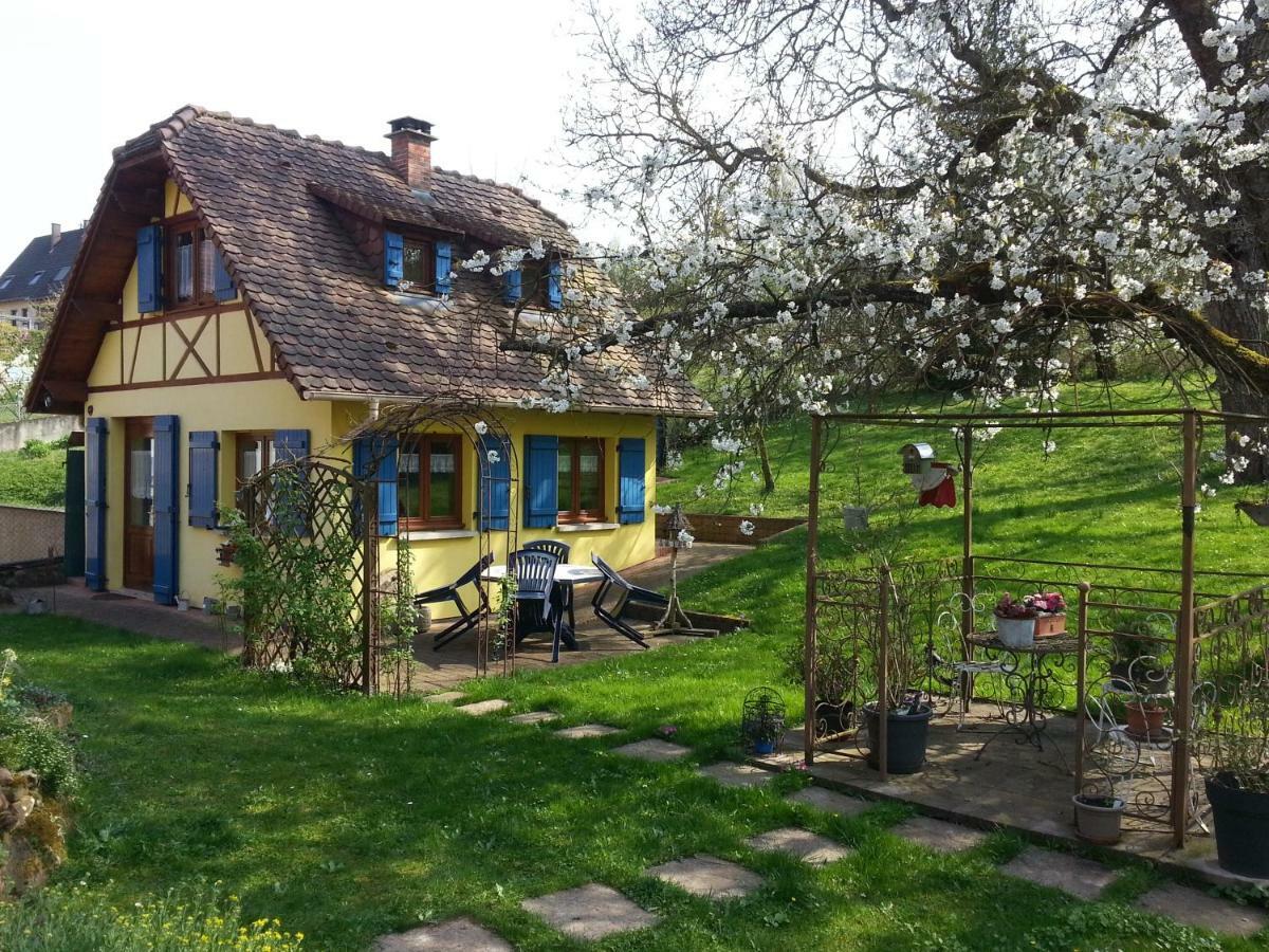Gite en Alsace Mutzig Buitenkant foto